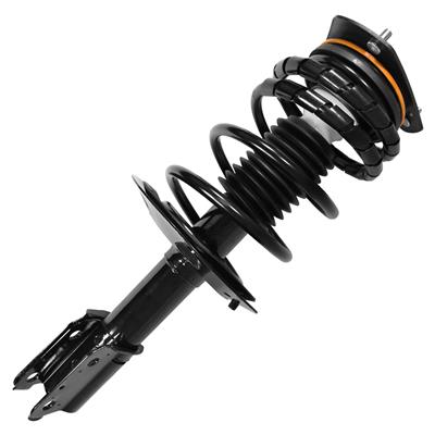 SHOCKS & STRUTS