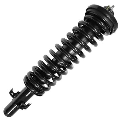 SHOCKS & STRUTS