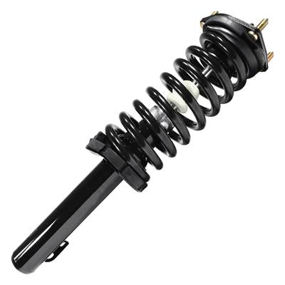 SHOCKS & STRUTS
