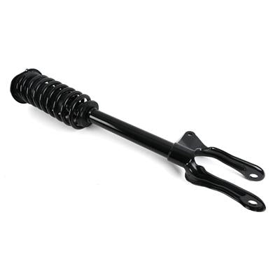 SHOCKS & STRUTS