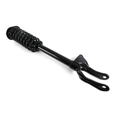 SHOCKS & STRUTS