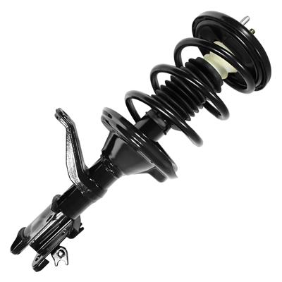 SHOCKS & STRUTS
