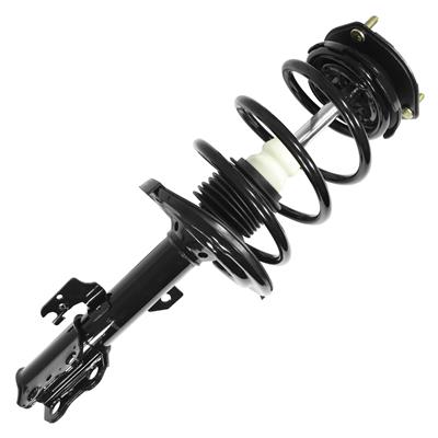 SHOCKS & STRUTS