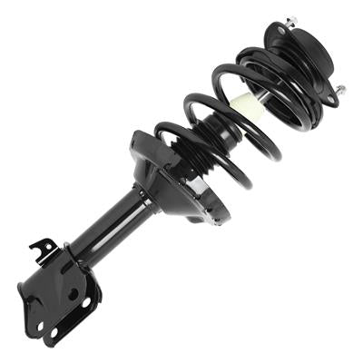 SHOCKS & STRUTS