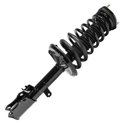 SHOCKS & STRUTS