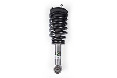 LOADED STRUT ASSEMBLY